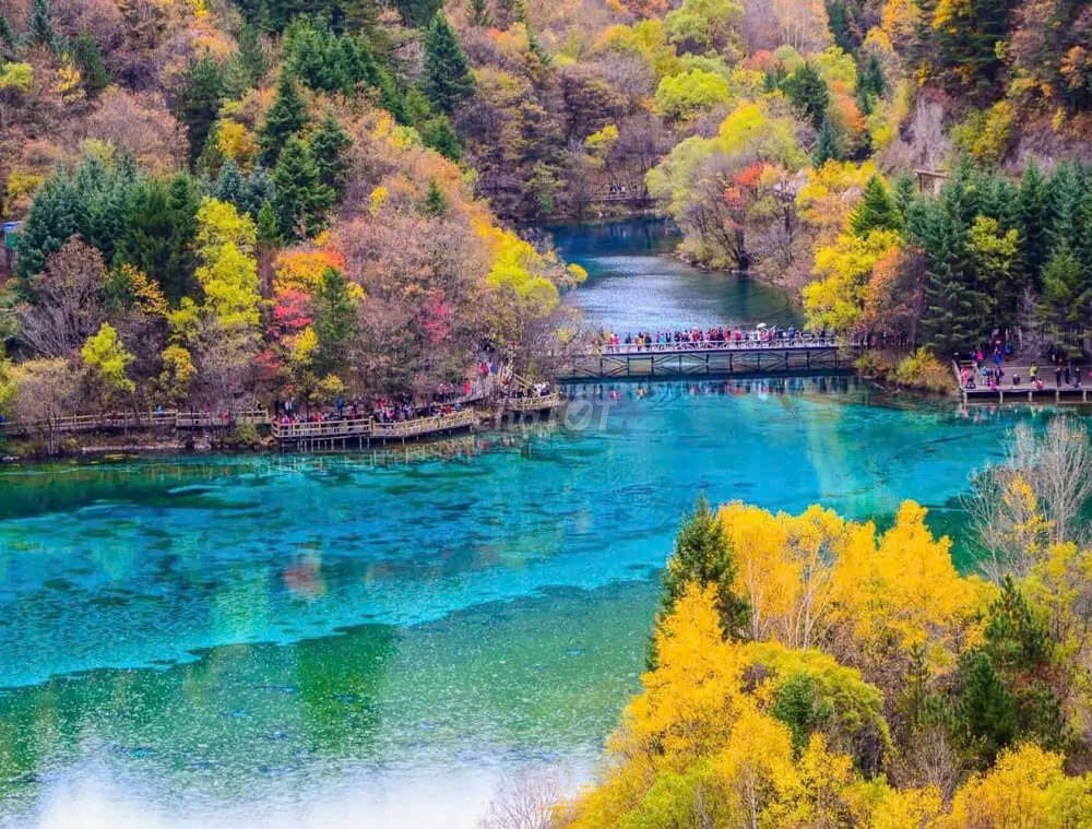 TOUR THÀNH ĐÔ-CỬU TRẠI CÂU-CÔNG VIÊN GẤU TRÚC 6n5đ. Du lịch tại Quận 4 Tp Hồ Chí Minh được đăng bởi KIM LIÊN TOUR hình 1