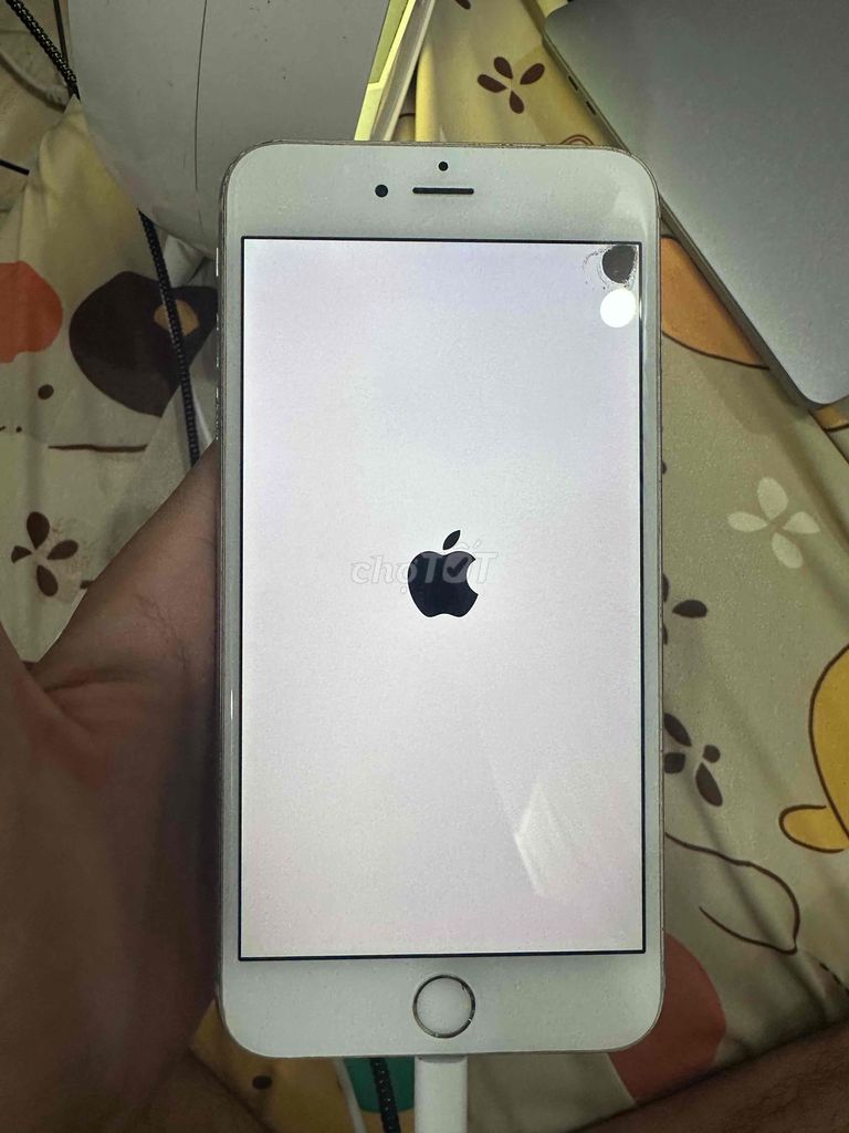 Apple iPhone 6s Plus 16GB Trắng. Mua bán Điện thoại tại Quận Tân Phú Tp Hồ Chí Minh được đăng bởi Cường hình 1