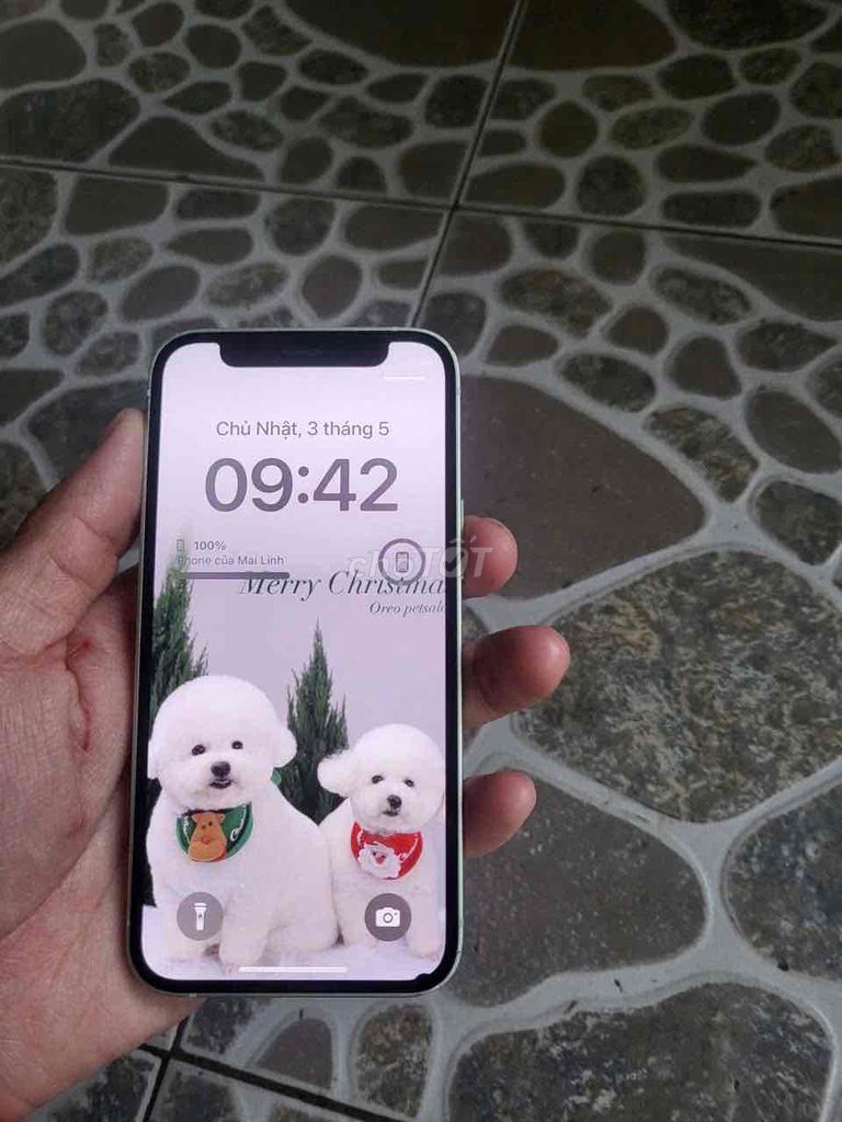 iPhone 12 mini Xanh lá Đã sử dụng. Mua bán Điện thoại tại Huyện Củ Chi Tp Hồ Chí Minh được đăng bởi trần hình 1
