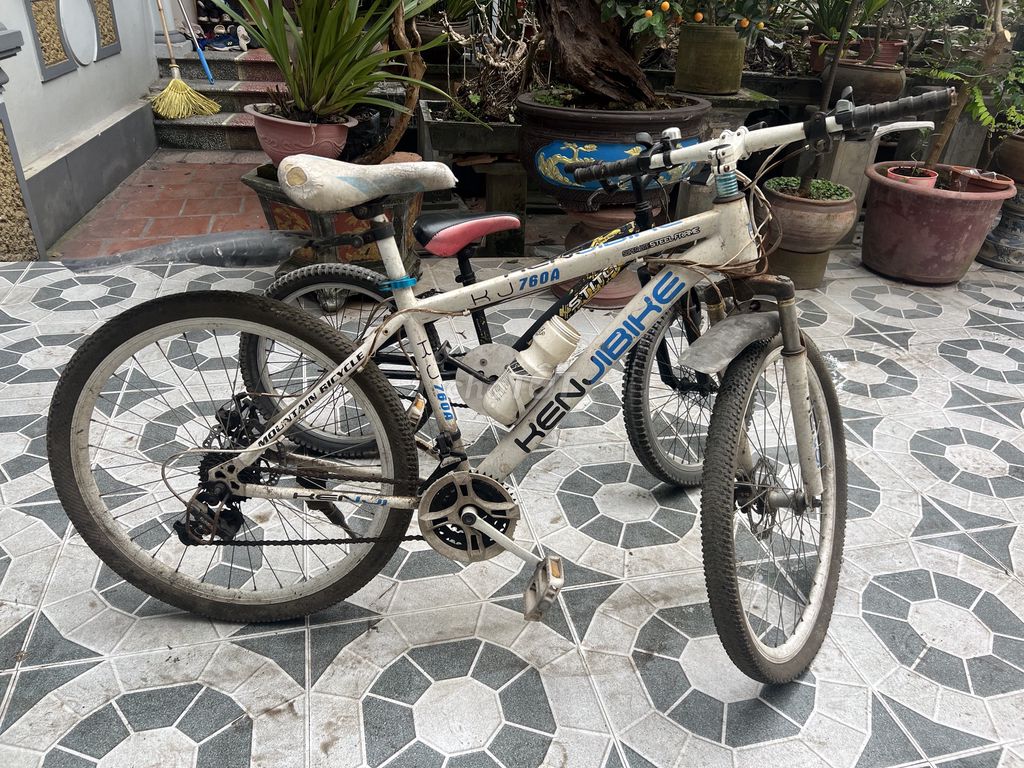 Tl 2 xe đạp. Mua bán Xe đạp tại Huyện Gia Lâm Hà Nội được đăng bởi nam hình 2