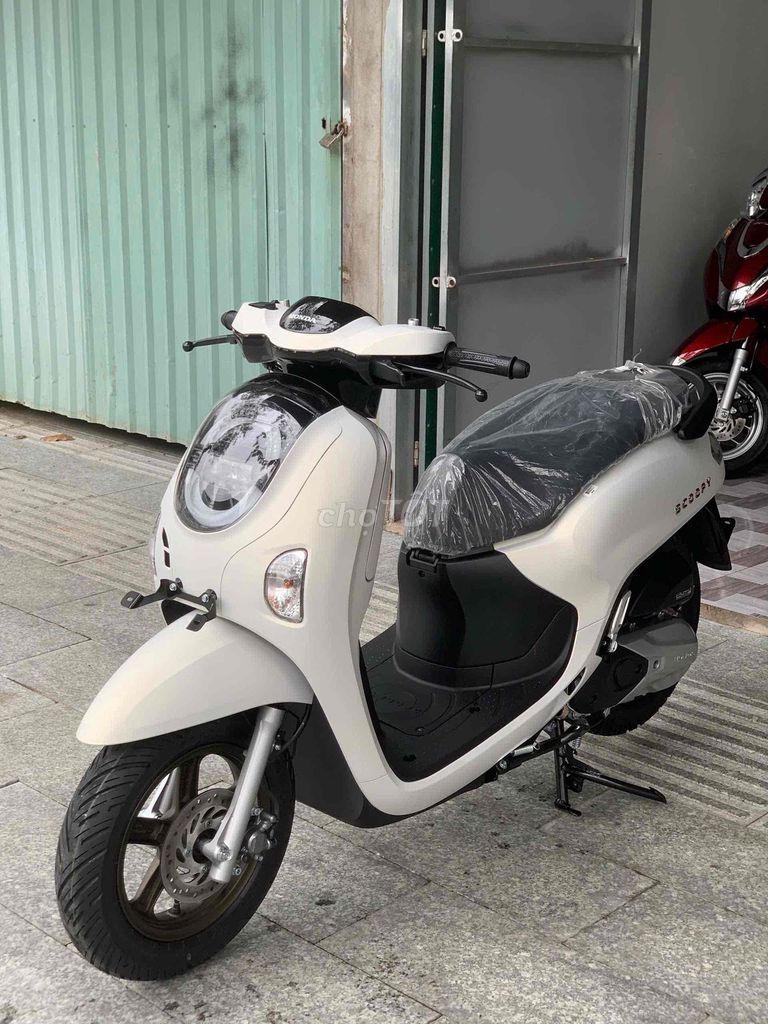 Honda Scoopy Trắng Mới 100%. Mua bán Xe máy tại Thành phố Sa Đéc Đồng Tháp được đăng bởi DUY CƯỜNG hình 1