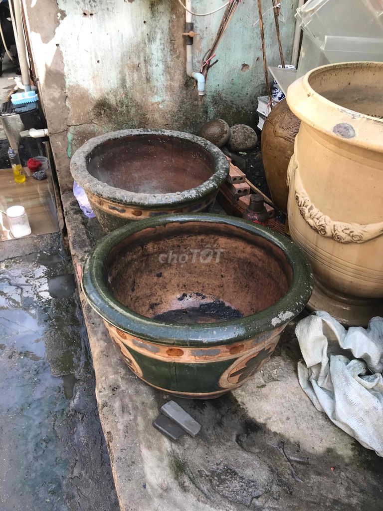 Bán 2 chậu sưa lọt lòng 55cm 1 cái bị nứt như hình. Mua bán Cây cảnh, đồ trang trí tại Quận Gò Vấp Tp Hồ Chí Minh được đăng bởi Phùng Cường hình 1