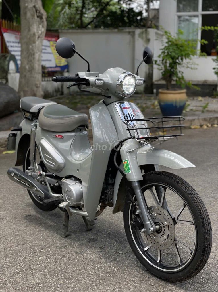 YALIM Cup 50 2026 Xám Mới