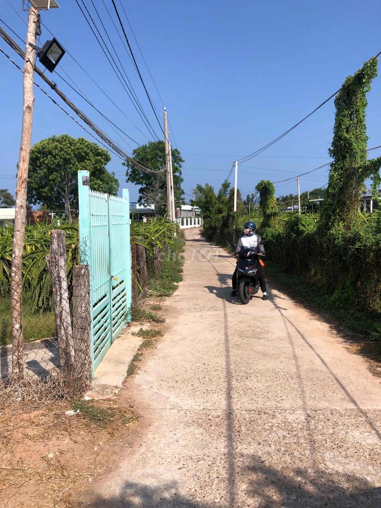 1 sào CLN ở Tiến Thành Phan Thiết Bình Thuận