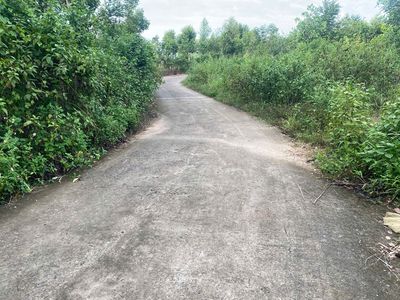 BÁN LÔ ĐẤT VƯỜN 12.000M2 CÁCH QLO 20 KHOẢNG 1,7KM CHỈ 300T/XÀO. Mua bán đất tại Huyện Định Quán Đồng Nai được đăng bởi HOÀNG TẤN ĐẠT