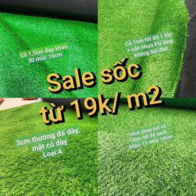 Thanh lý cỏ nhân tạo mới 💯 giá từ 19k/m2. Mua bán Cây cảnh, đồ trang trí tại Quận Tân Bình Tp Hồ Chí Minh được đăng bởi Cỏ Nhân Tạo Miền Nam