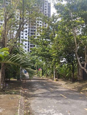 Đất Hướng Đông KDC Phú Lợi p7q8