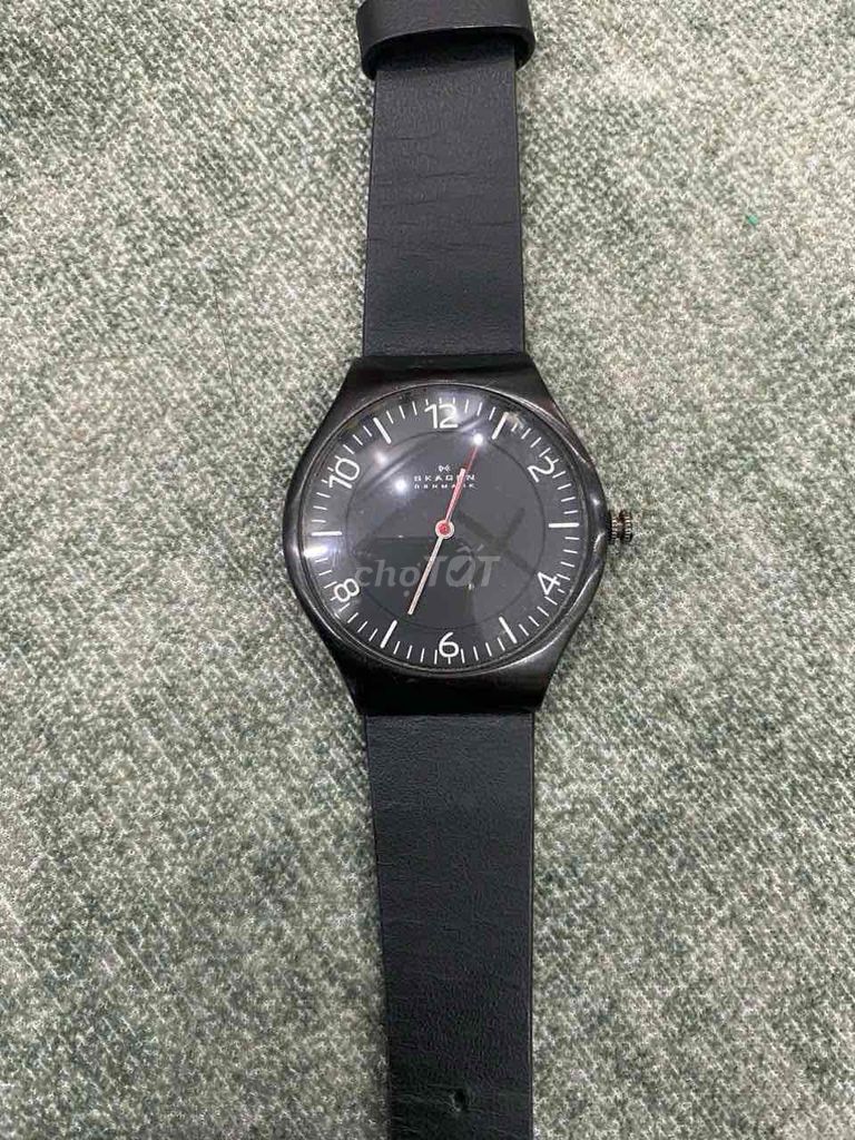 Skagen SKW6113 men's watch.chính hãng.cự