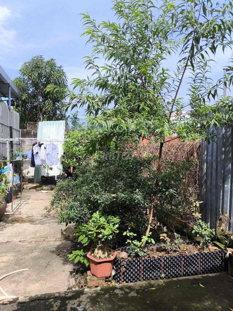 chính chủ vỡ nợ bán nhà long an