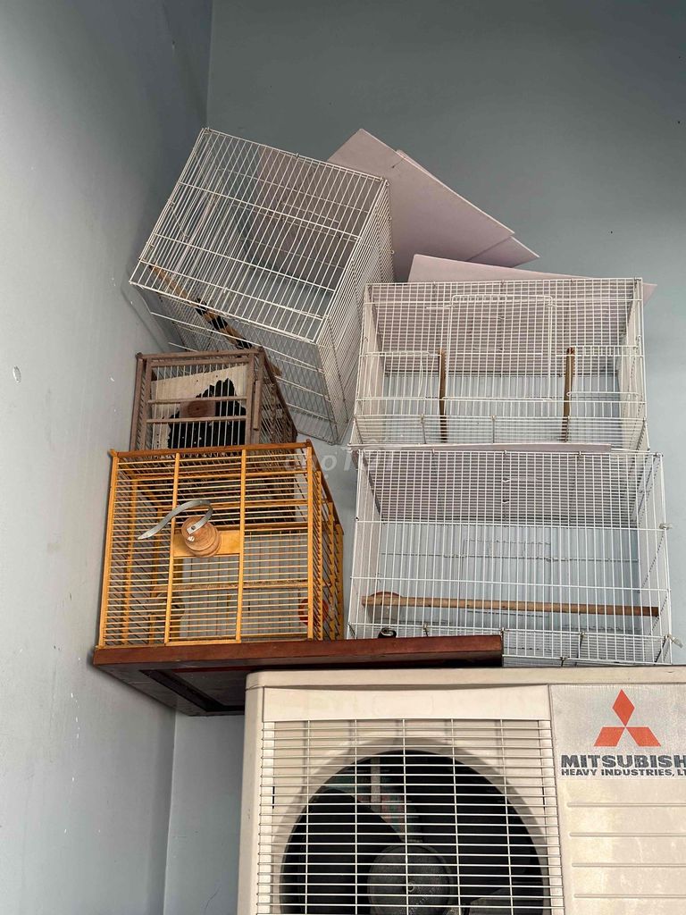 Lồng chim Sắt Trắng. Mua bán Phụ kiện, Thức ăn, Dịch vụ tại Quận Gò Vấp Tp Hồ Chí Minh được đăng bởi Trung hình 1