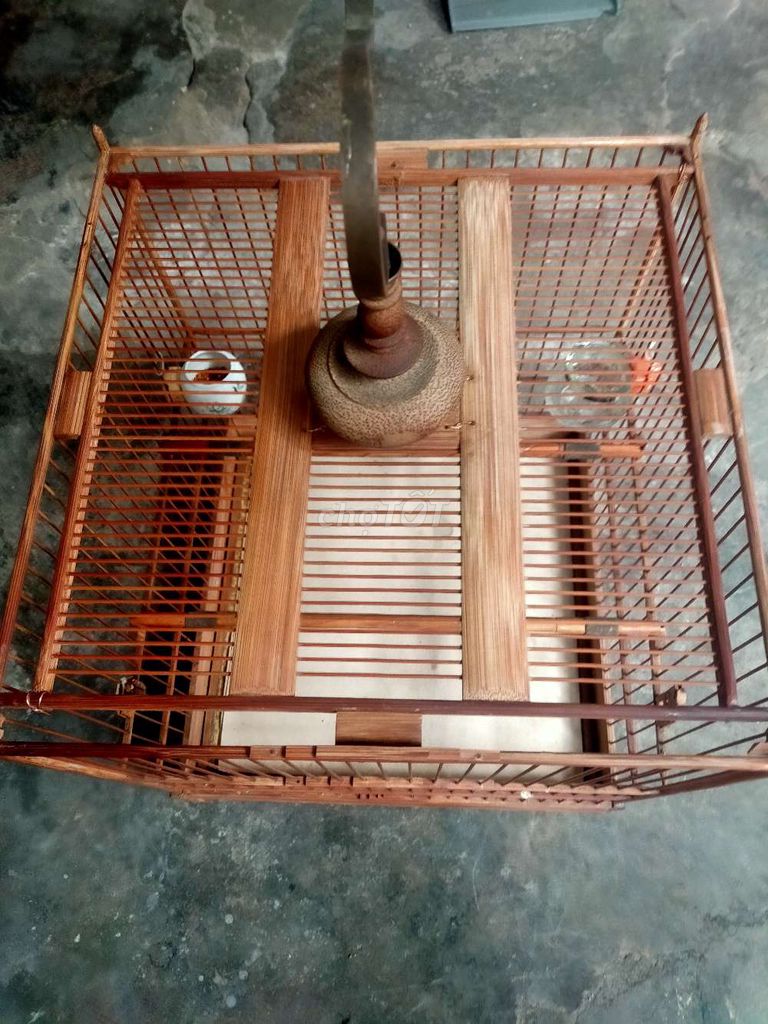 Cả bộ chào mào vuông đấu tre già hàng đặt 700k