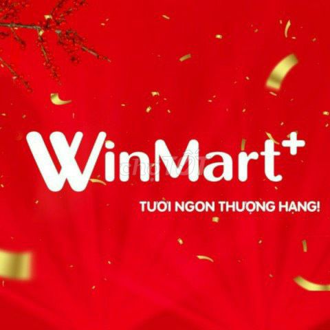 Winmart+ Tp Pleiku Tuyển 5 Nhân Viên Tại Cửa Hàng