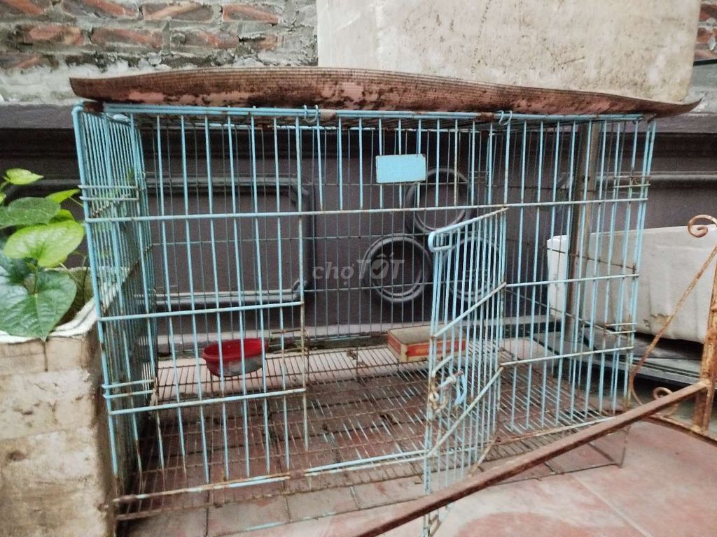 Lồng nuôi gia súc, gia cầm.. Mua bán Phụ kiện, Thức ăn, Dịch vụ tại Huyện Hoài Đức Hà Nội được đăng bởi Trung hình 1