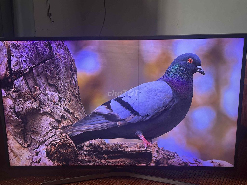 Tivi Samsung 49 inch đã sử dụng. Mua bán Tivi, Âm thanh tại Huyện Hóc Môn Tp Hồ Chí Minh được đăng bởi Nguyễn Quyết Chiến (NQC) hình 1