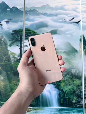 Apple iPhone Xs 64GB Vàng đồng 99%