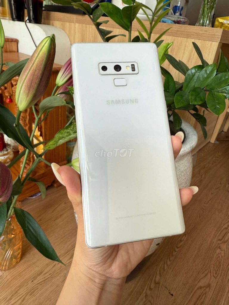 Samsung Note 9. Mua bán Điện thoại tại Quận Bình Tân Tp Hồ Chí Minh được đăng bởi Ngọc Tài Moile hình 1
