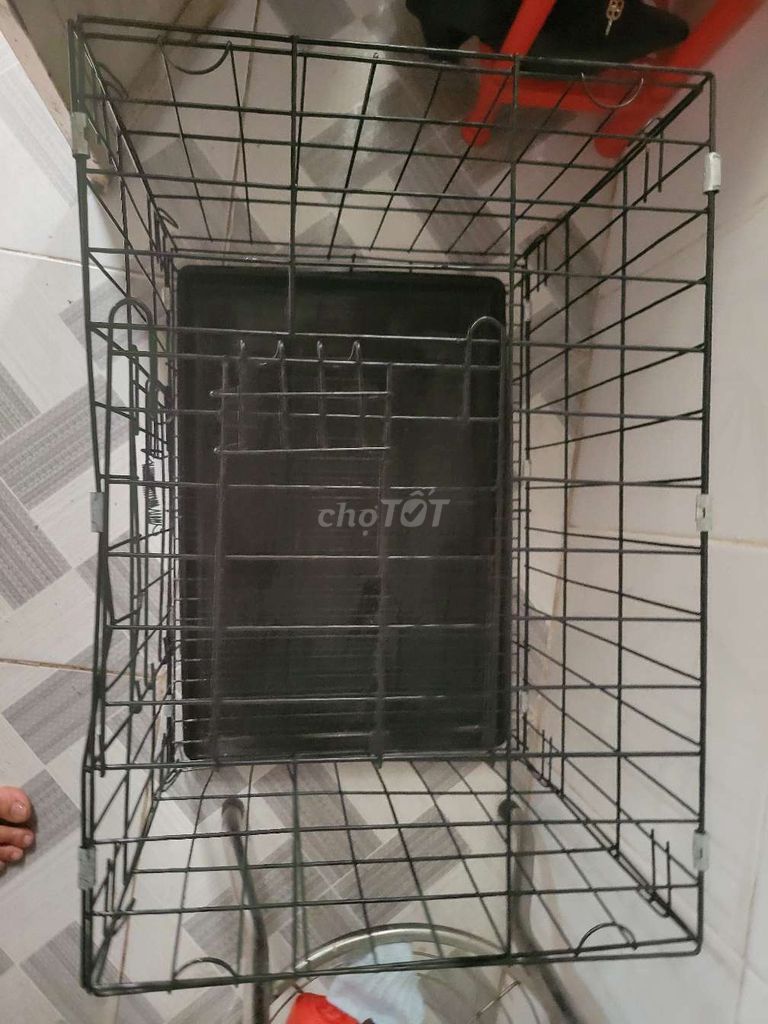 Chuồng và tông đơ cắt cho chó. Mua bán Phụ kiện, Thức ăn, Dịch vụ tại Quận Gò Vấp Tp Hồ Chí Minh được đăng bởi Sang Nguyễn hình 5