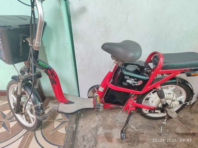 Xe đạp điện Pega Zinger 9 đỏ đã hư bình - 13504324