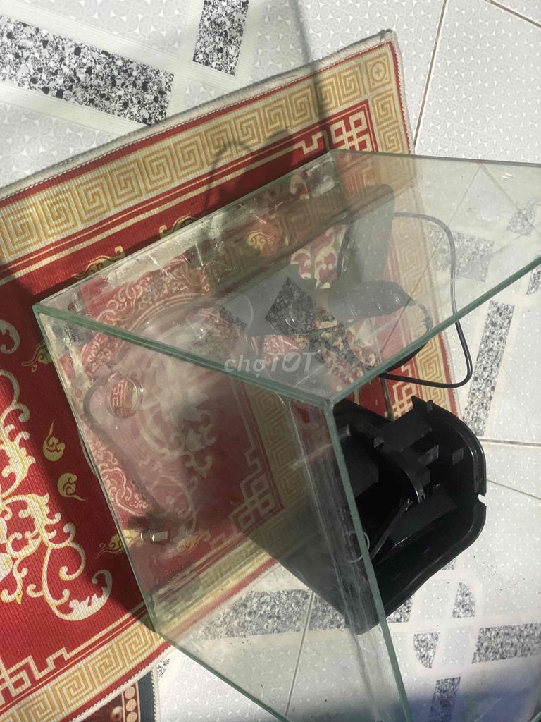 bể cá lập phương 30cm và máy lọc pump. Mua bán Phụ kiện, Thức ăn, Dịch vụ tại Thành phố Thuận An Bình Dương được đăng bởi hoàng long hình 1