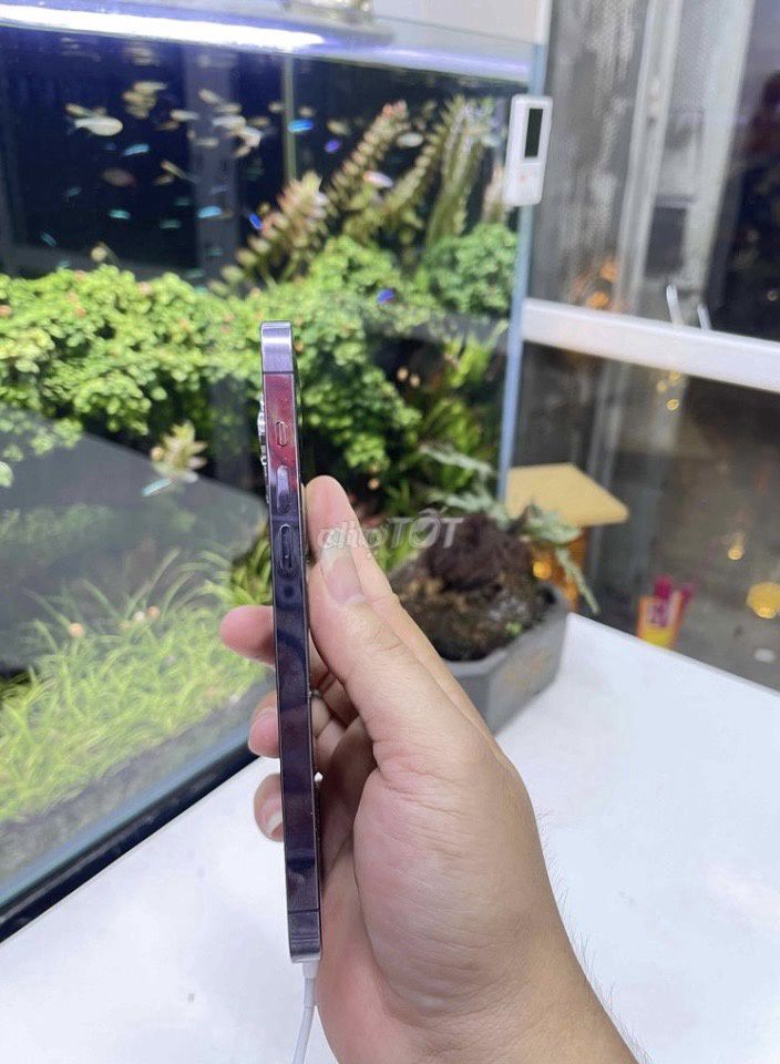 Apple iPhone 14 Pro Max Tím. Mua bán Điện thoại tại Thành phố Trà Vinh Trà Vinh được đăng bởi khang heo hình 1