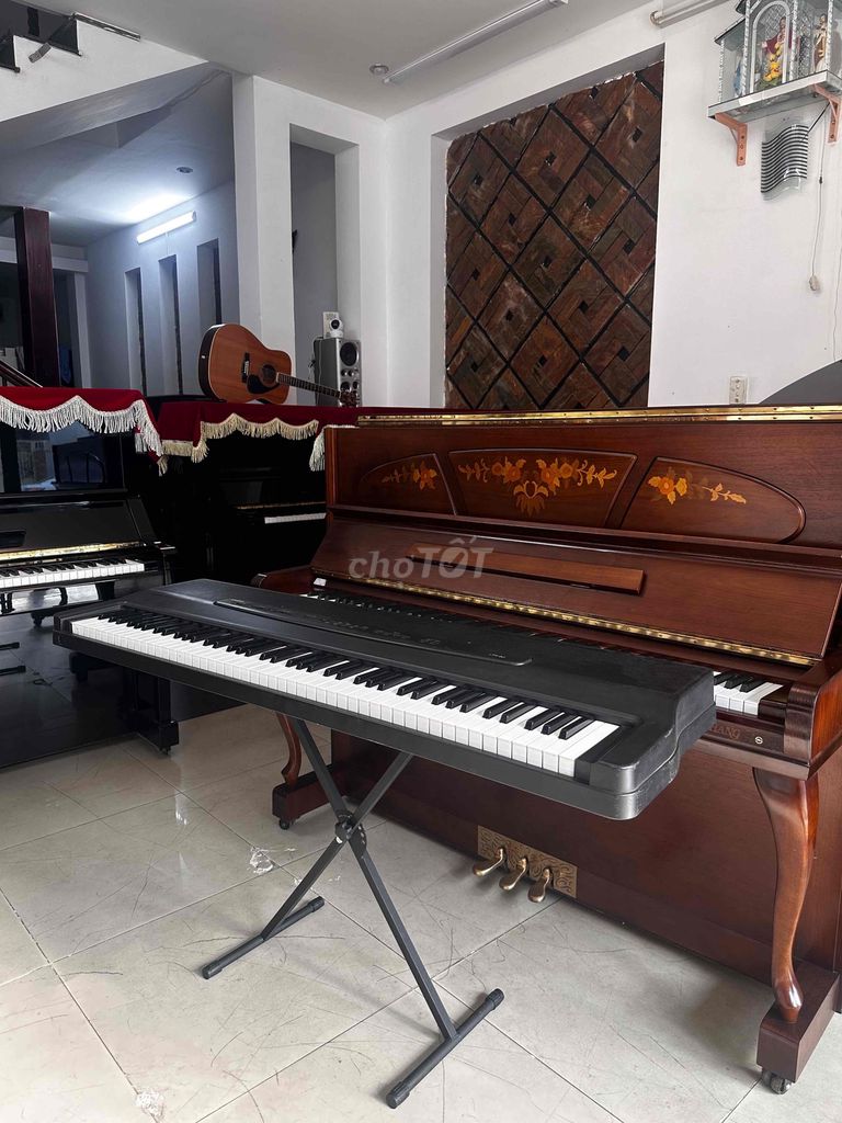 Piano 88 phím chuẩn_ có transpose đầy đủ