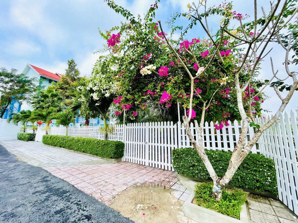 🌿 Đất Full Thổ Cư, Đất Rộng Vị Trí Đẹp Hiếm Có Tại Phước Vĩnh An🌳