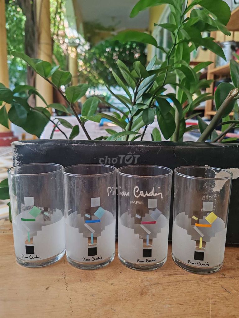 Ly thủy tinh Pierre Cardin Nhật Bản mới. Mua bán Dụng cụ nhà bếp tại Quận 7 Tp Hồ Chí Minh được đăng bởi Vy Vy hình 1