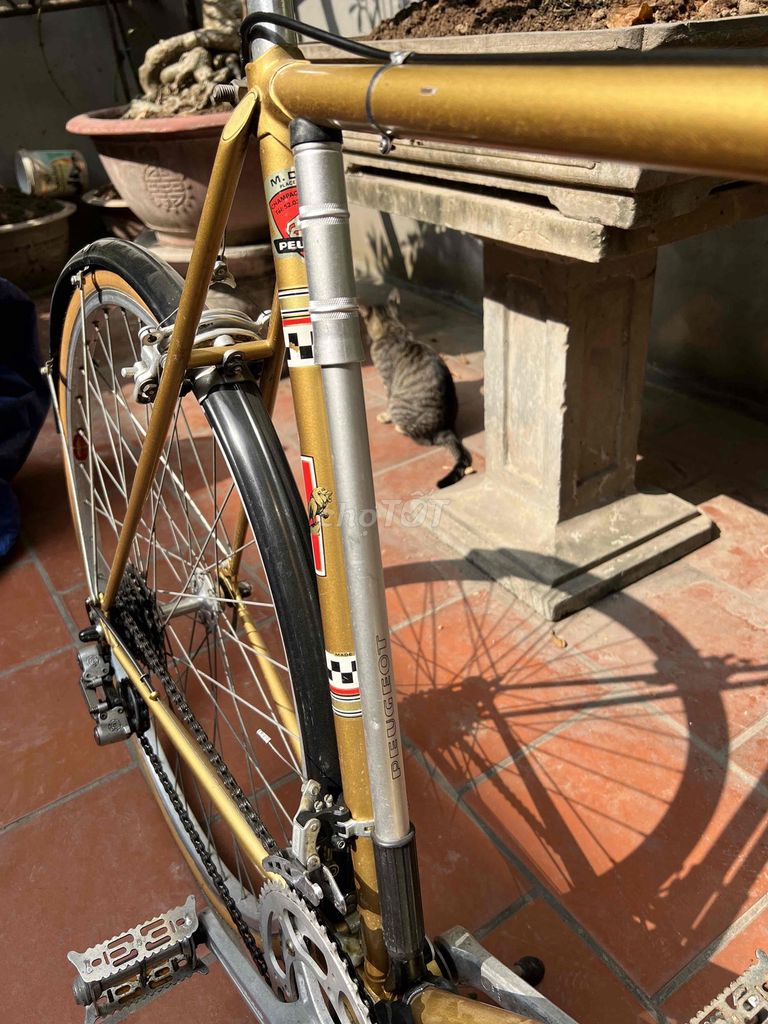 Xe đạp Peugoet 1977. Mua bán Xe đạp tại Quận Nam Từ Liêm Hà Nội được đăng bởi Nguyễn Thái hình 3