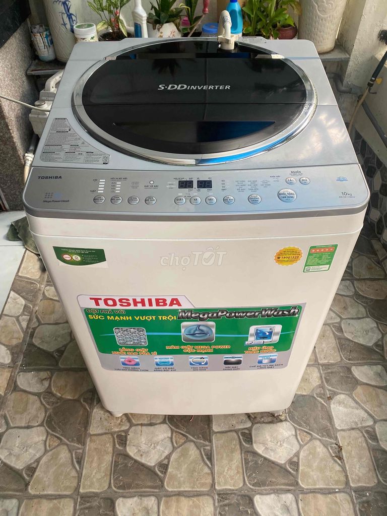 Bán Máy Giặt Toshiba10KG DD