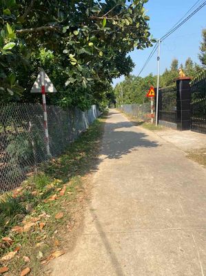 chính chử Bán 1000m đất vườn vú sữa