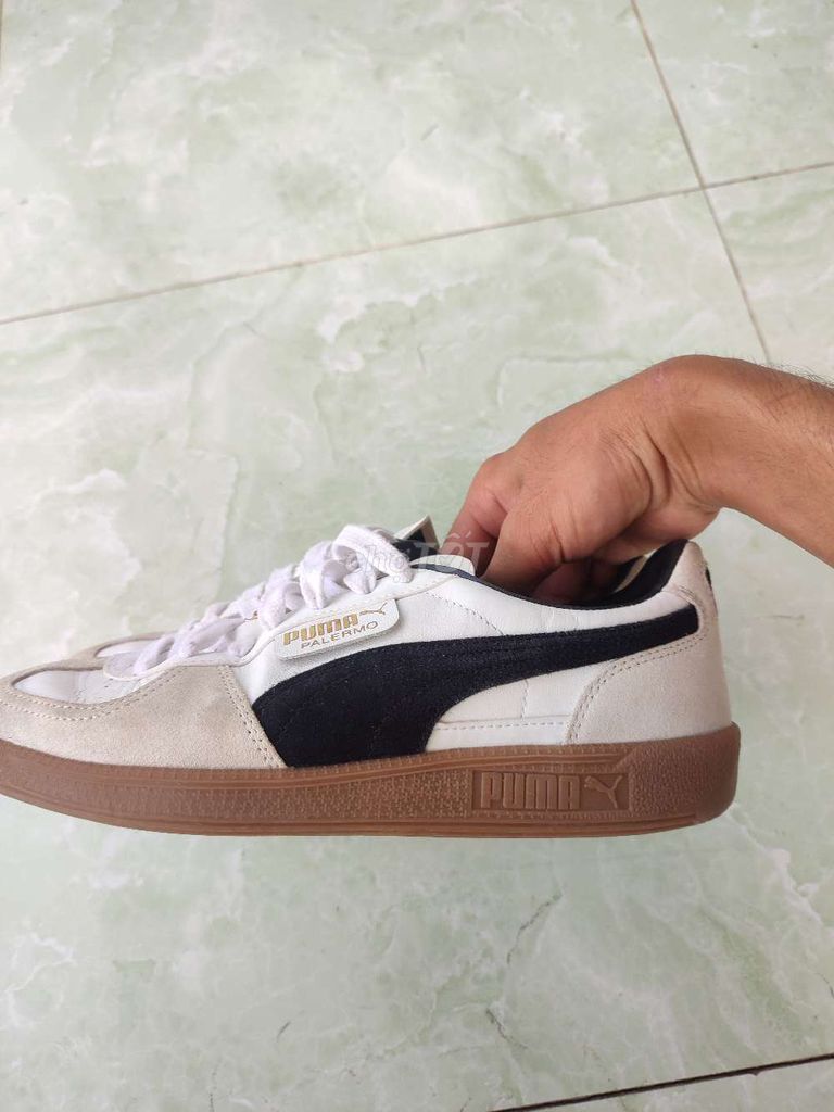 Giày thể thao Puma Palermo Nam. Mua bán Giày dép tại Huyện Trần Đề Sóc Trăng được đăng bởi Tonny toè hình 1