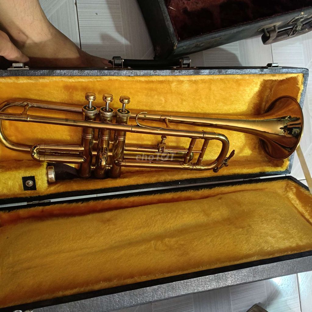 Kèn Trumpet Couesnon pro của Pháp