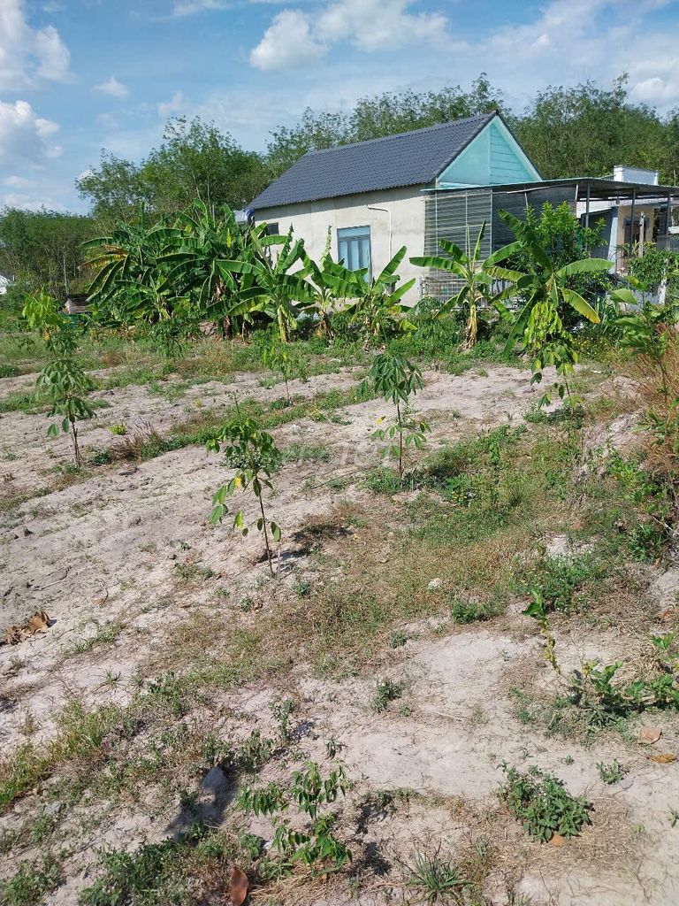 KẸT TIỀN - BÁN GẤP ĐẤT ĐẸP HƠN 2000m GỒM 100M2 THỔ CƯ CHỈ 1,6 TỶ!. Mua bán đất tại Huyện Bắc Tân Uyên Bình Dương được đăng bởi Nguyễn Trung Thành hình 1