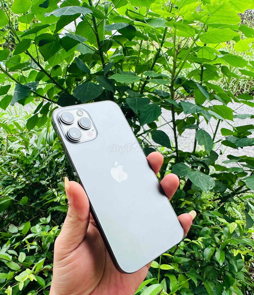 iPhone 12 Pro Max 256GB Xám Đã sử dụng. Mua bán Điện thoại tại Thành phố Cà Mau Cà Mau được đăng bởi Nguyễn An hình 1