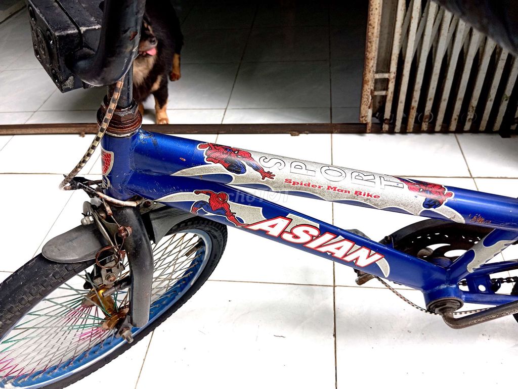 Xe đạp học sinh. Mua bán Xe đạp tại Huyện Châu Thành Kiên Giang được đăng bởi nguyenhuynhduc hình 4