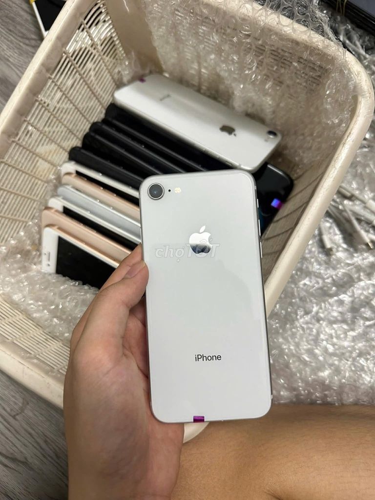Apple iPhone 8 8GB Trắng. Mua bán Điện thoại tại Quận 10 Tp Hồ Chí Minh được đăng bởi Hội Đồ Điện Tử hình 1