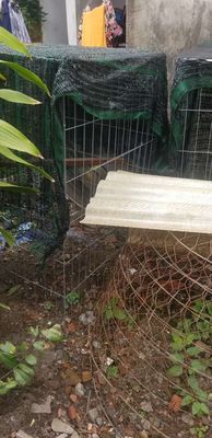 Chuồng gà. Mua bán Phụ kiện, Thức ăn, Dịch vụ tại Thành phố Thủ Đức Tp Hồ Chí Minh được đăng bởi  Tâm