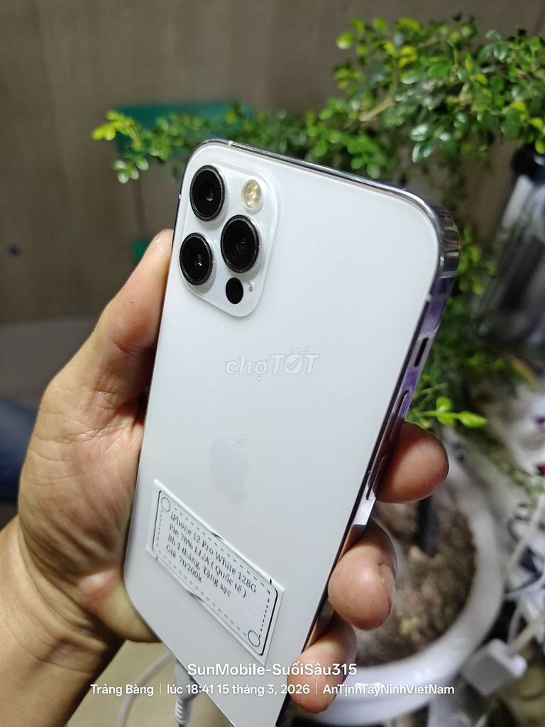 iPhone 12 Pro 128GB Pin78% Zin All Quốc tế. Mua bán Điện thoại tại Huyện Trảng Bàng Tây Ninh được đăng bởi Sun Mobile Shop Điện Thoại Trảng Bàng Tây Ninh 01 hình 1