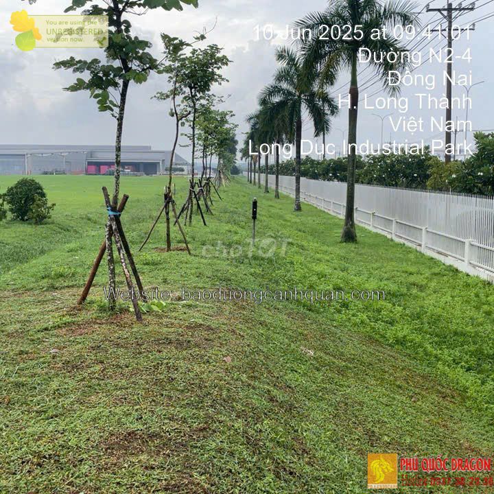 Dịch vụ dọn vườn Đồng Nai. Dịch vụ tại Thành phố Biên Hòa Đồng Nai được đăng bởi Quang Minh Landscape hình 1