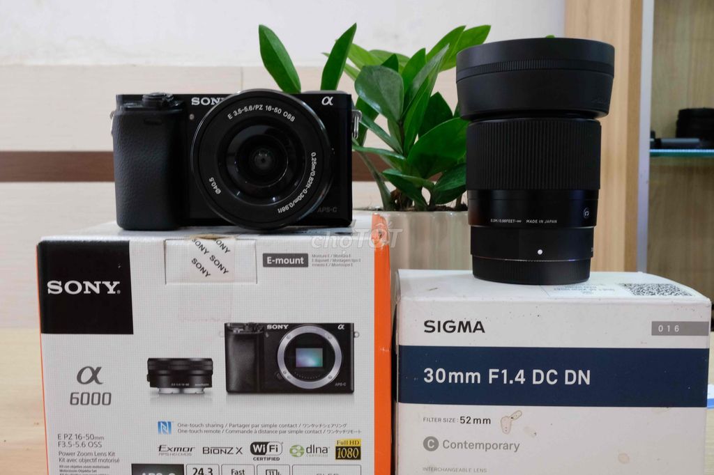 SONY A6000 KÈM KIT 16-50 KÈM SIGMA 30 1.4 FULL BOX