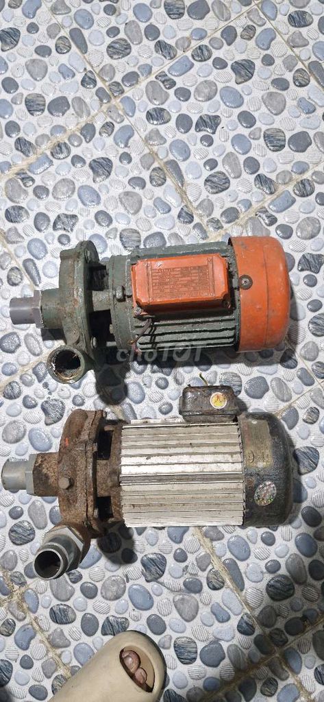 Máy bơm nước Superwin 1.5 HP. Mua bán Đồ chuyên dụng, Giống nuôi trồng tại Huyện Chợ Gạo Tiền Giang được đăng bởi T hình 1