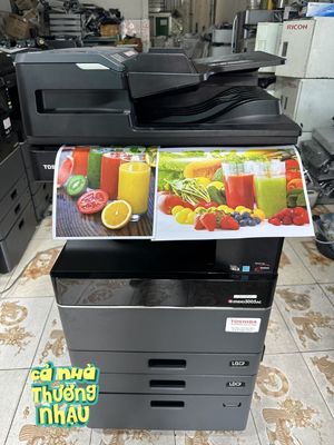 Máy photocopy màu toshiba 5005AC