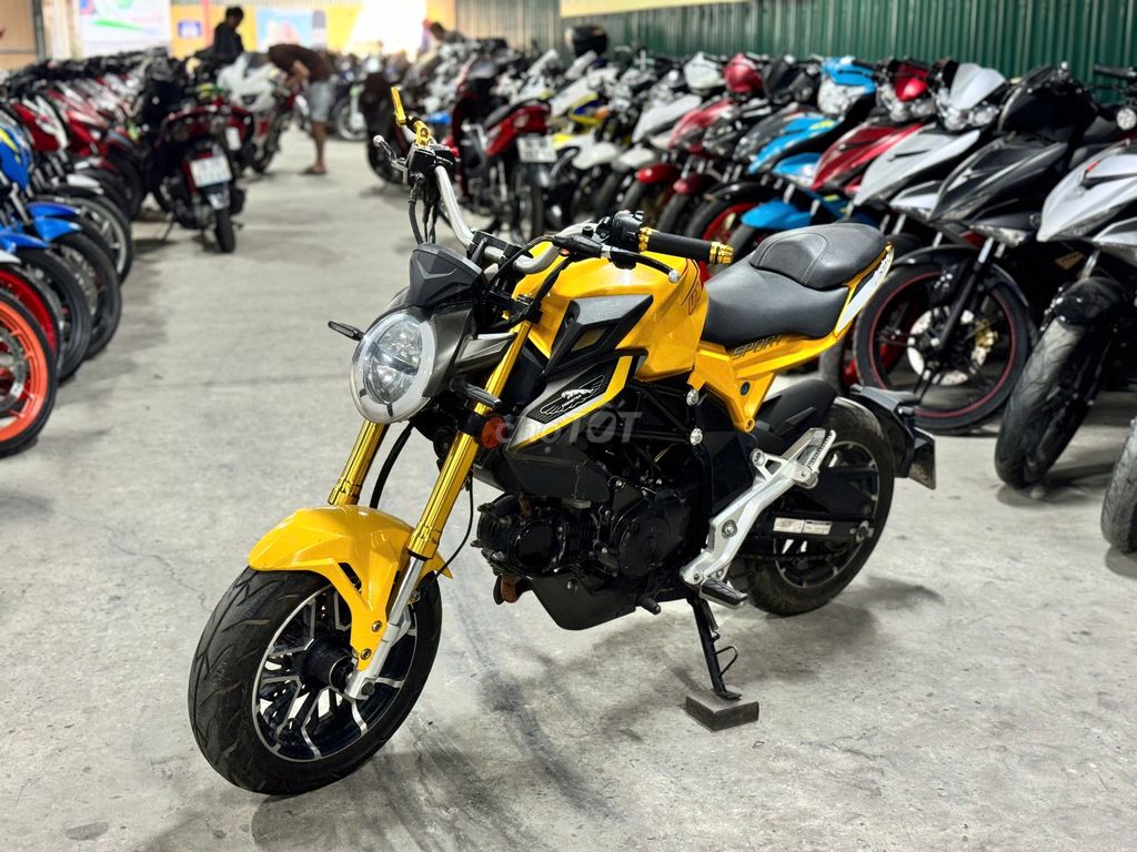 XE MÁYTHANH TÙNG_AGUSTA 110 VÀNG ĐEN CÔN TAY MINI. Mua bán Xe máy tại Quận Nam Từ Liêm Hà Nội được đăng bởi THANH TÙNG hình 2