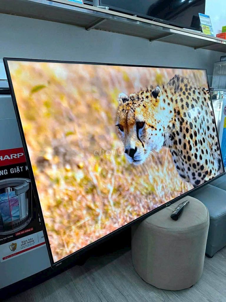 Tivi TCL 55INCH PRO - BÁN GÓP BAO NỢ XẤU. Mua bán Tivi, Âm thanh tại Quận 1 Tp Hồ Chí Minh được đăng bởi Điện Máy Trả Góp Bao Nợ Xấu hình 1