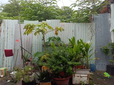 Bán lô đất thổ cư hẻm xe hơi hơn một trăm mét ngang 5m tiện xây mới