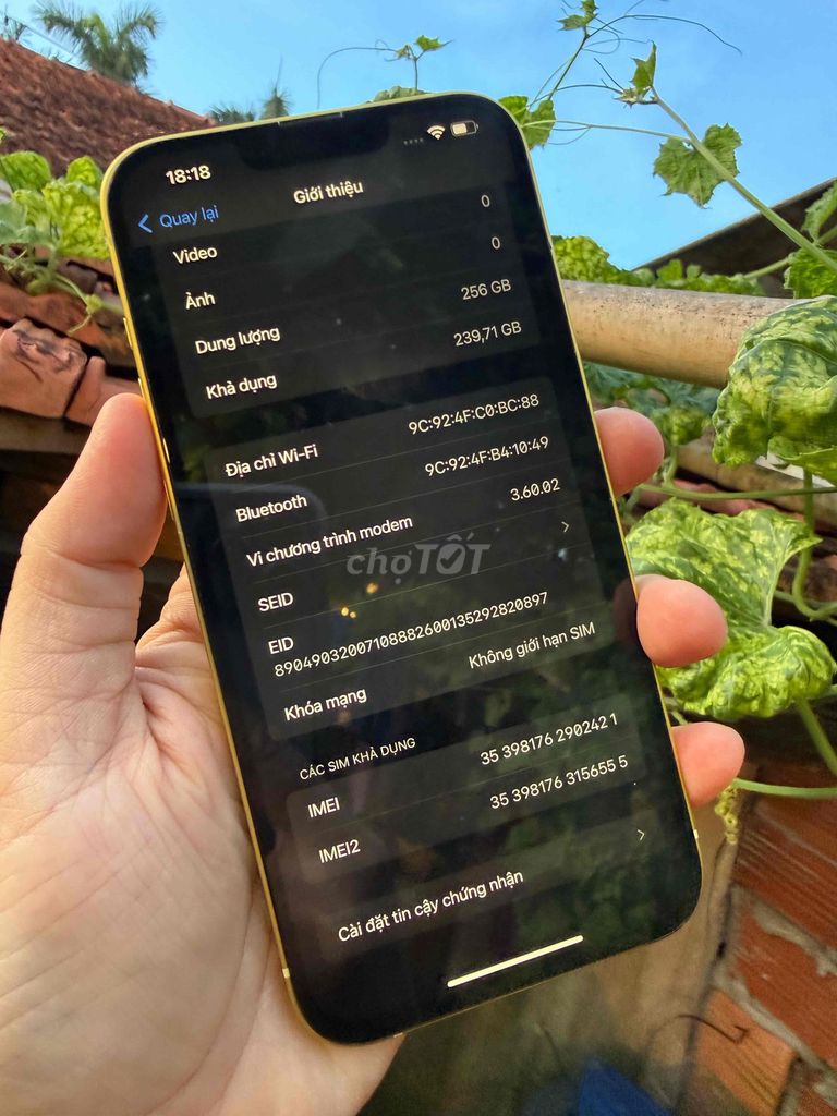 Apple iPhone 14 Plus 256GB Vàng đẹp full keng nét. Mua bán Điện thoại tại Thành phố Vĩnh Long Vĩnh Long được đăng bởi trà văn lâm hình 1