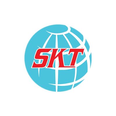 Công ty TNHH SKT Vina logo
