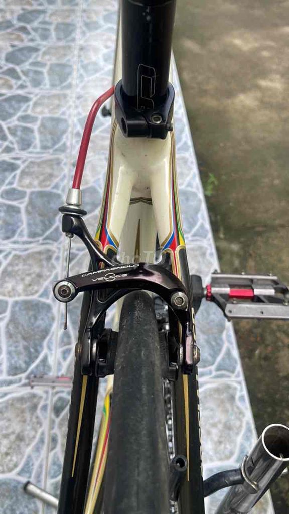 cần tiền bán gấp. Mua bán Xe đạp tại Thành phố Biên Hòa Đồng Nai được đăng bởi Thơ hình 7