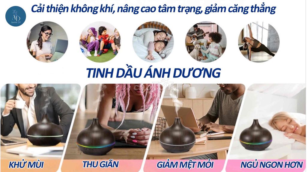 Đèn xông tinh dầu giá rẻ