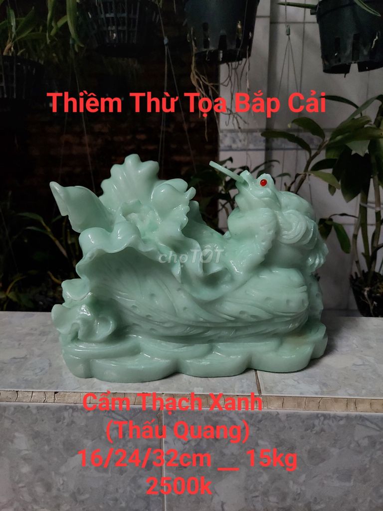 Thiềm thừ tọa bắp cải